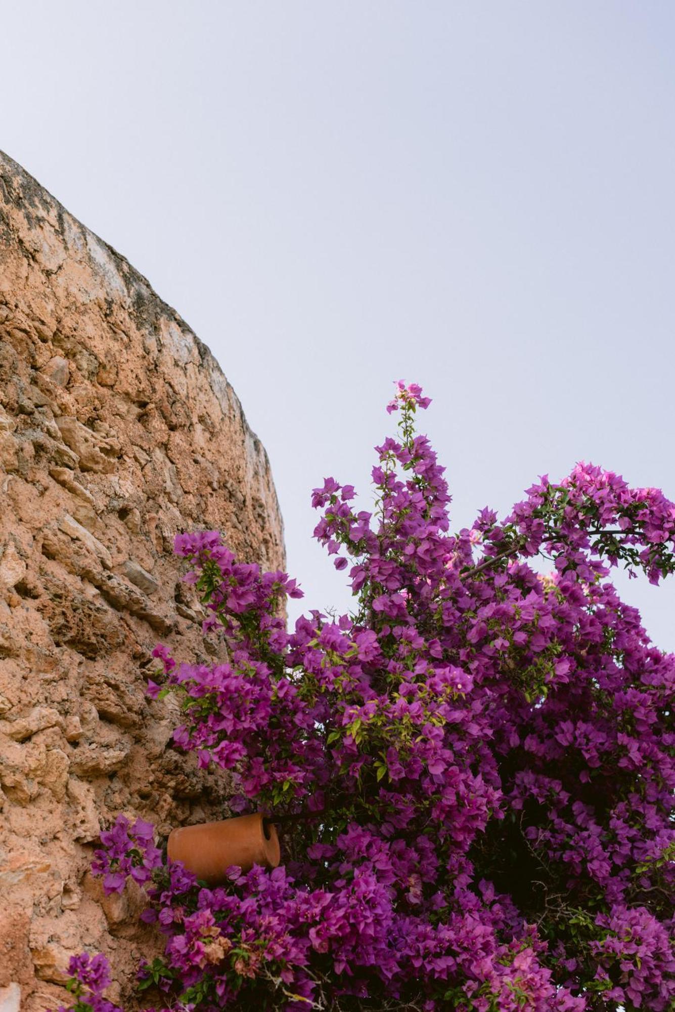 Can Quince Balafia Ibiza Hotel - Turismo De Interior Sant Llorenc de Balafia Εξωτερικό φωτογραφία