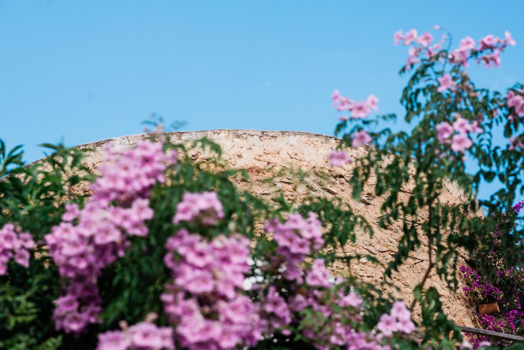 Can Quince Balafia Ibiza Hotel - Turismo De Interior Sant Llorenc de Balafia Εξωτερικό φωτογραφία