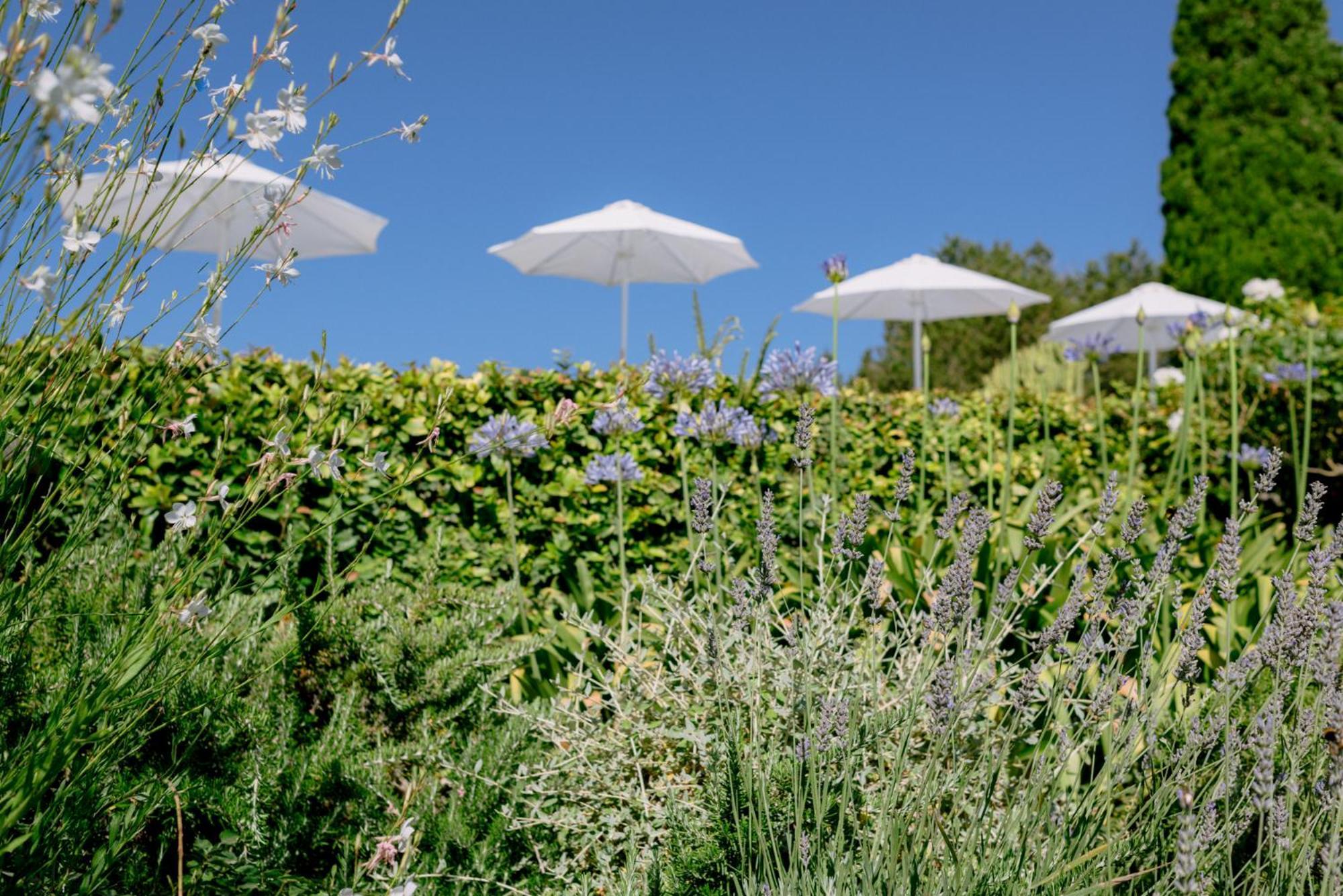 Can Quince Balafia Ibiza Hotel - Turismo De Interior Sant Llorenc de Balafia Εξωτερικό φωτογραφία
